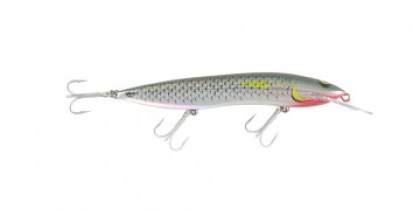 Halco Sorcerer Fishing Lures at Rs 725/piece