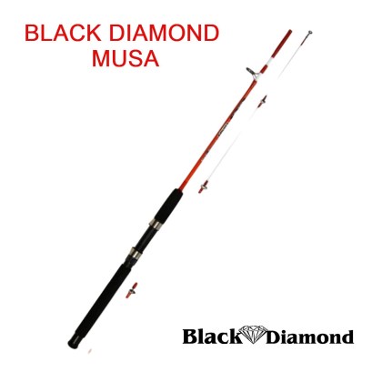 BLACK DIAMOND ΚΑΛΑΜΙ MUSA 1.65mtr / cw 7-15lbs /2pcs